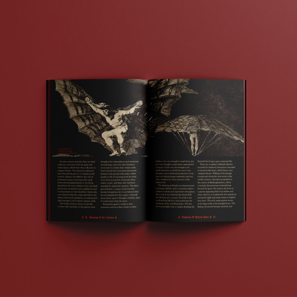 Vashistha, Riya, TG3DP, Magazine, 1.3