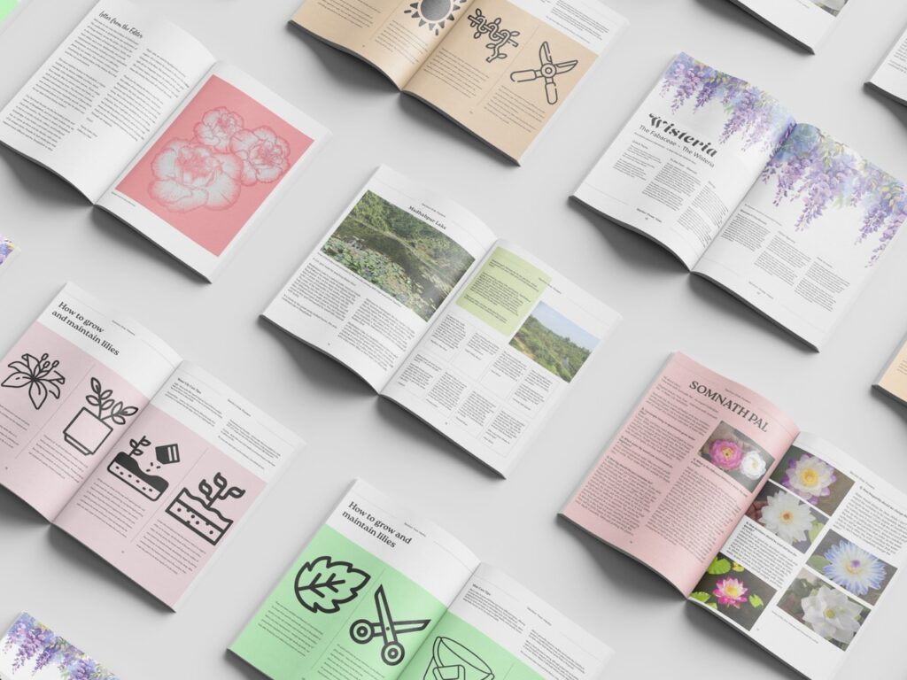 Zahin Asmi, Tasnia, TG3DP, Magazine Project 2 Large