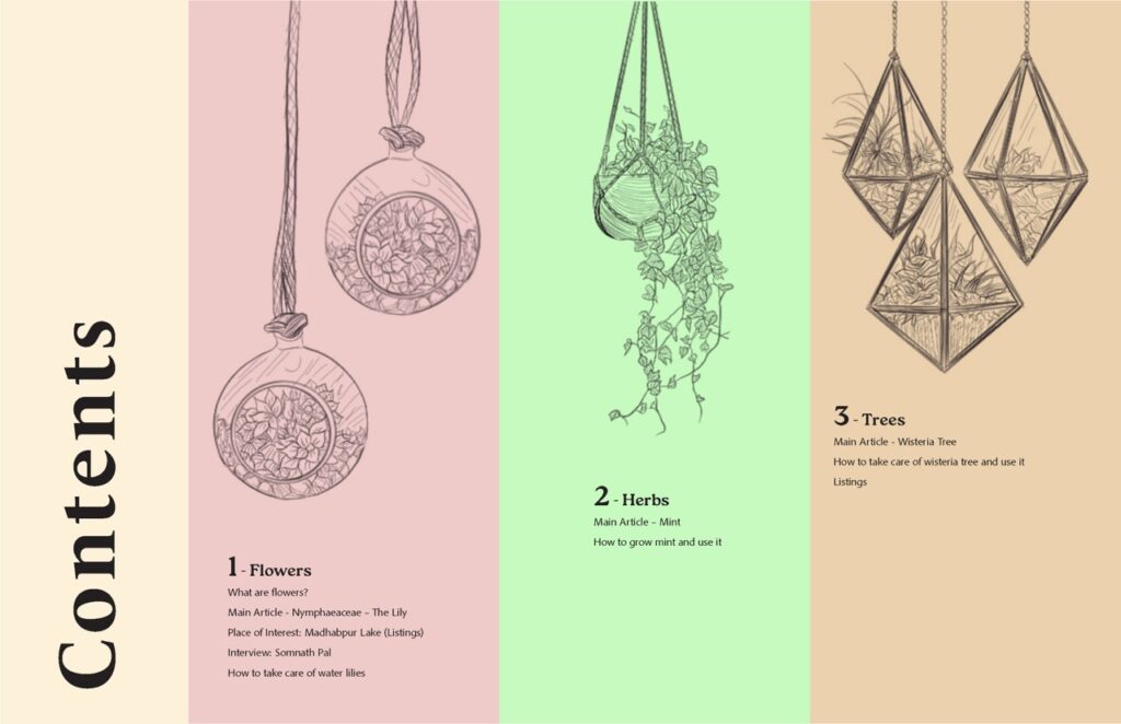 ZahinAsmiTasnia_TY3DP3_magazine_cover_proposals 2_Page_05 Large