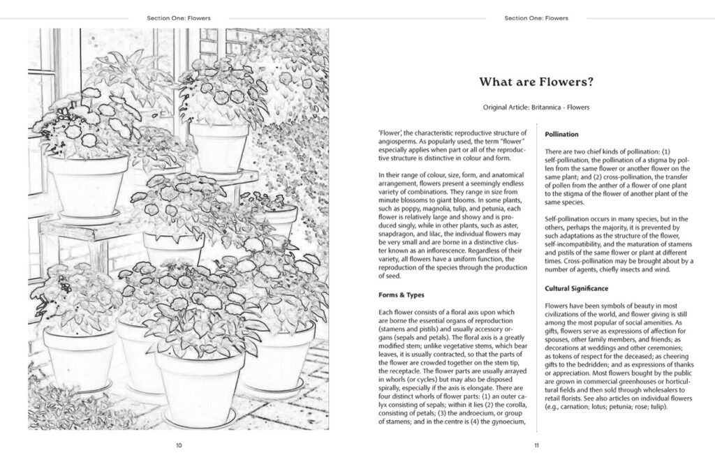 ZahinAsmiTasnia_TY3DP3_magazine_cover_proposals 2_Page_09 Large