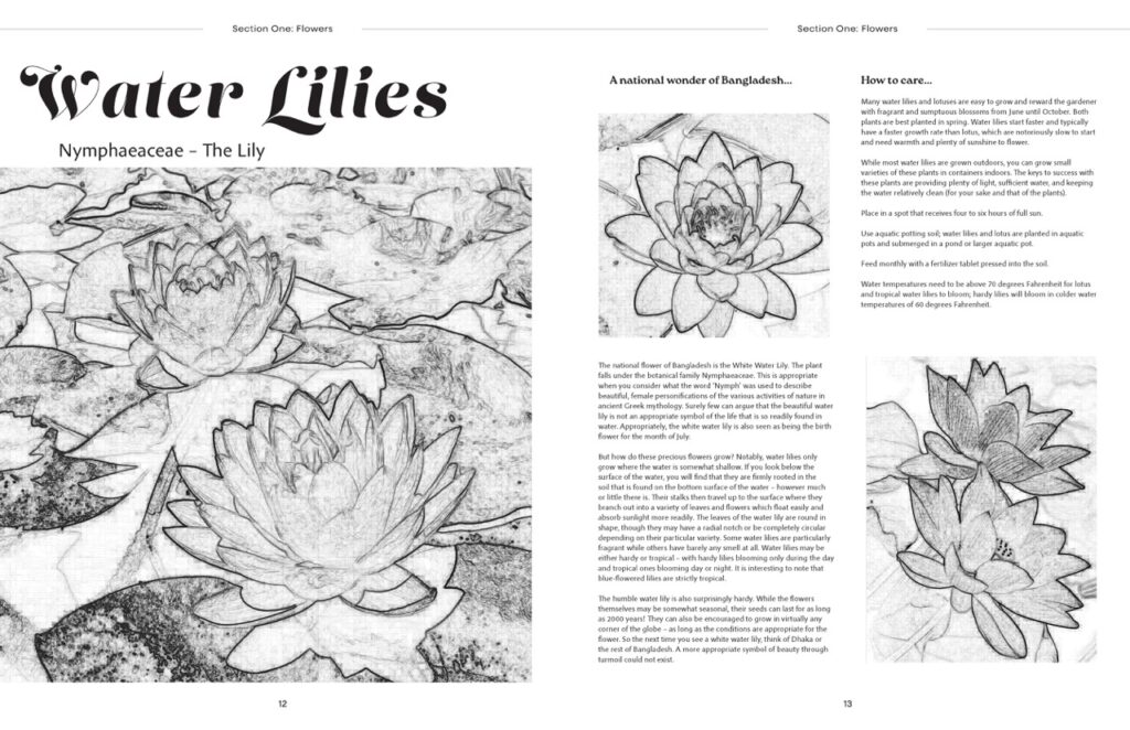 ZahinAsmiTasnia_TY3DP3_magazine_cover_proposals 2_Page_10 Large
