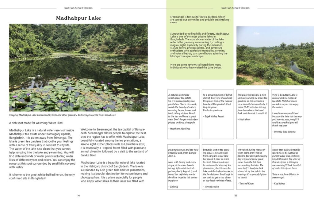 ZahinAsmiTasnia_TY3DP3_magazine_cover_proposals 2_Page_11 Large