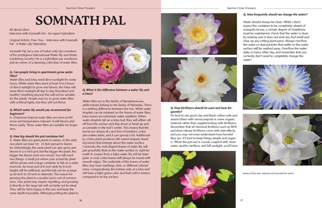 ZahinAsmiTasnia_TY3DP3_magazine_cover_proposals 2_Page_12 Large