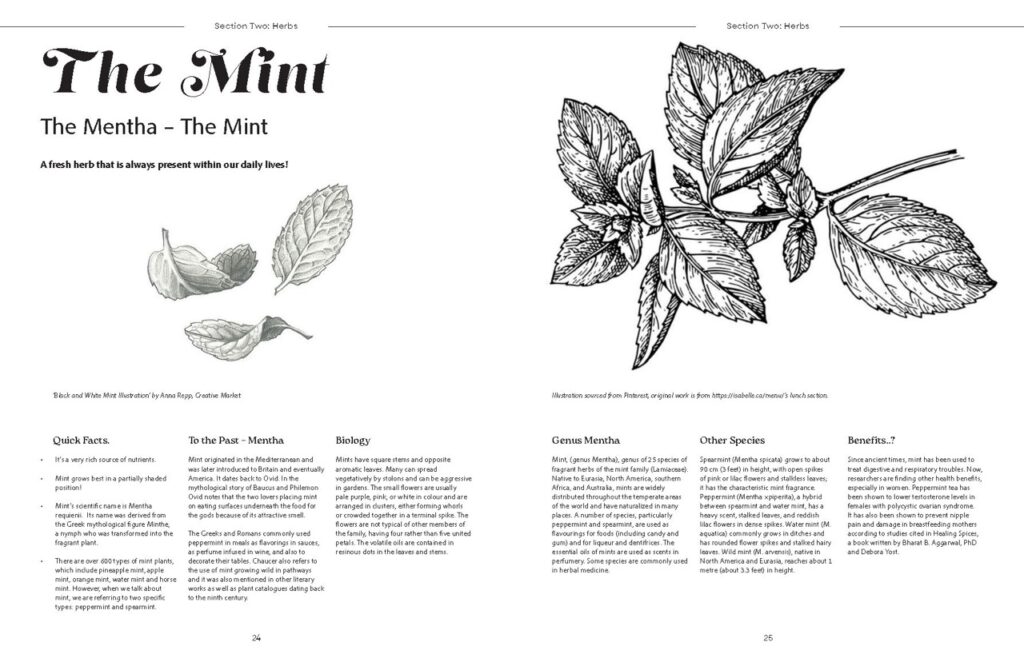 ZahinAsmiTasnia_TY3DP3_magazine_cover_proposals 2_Page_16 Large