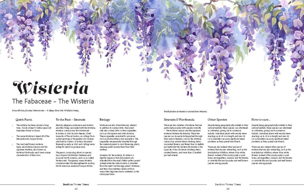 ZahinAsmiTasnia_TY3DP3_magazine_cover_proposals 2_Page_20 Large